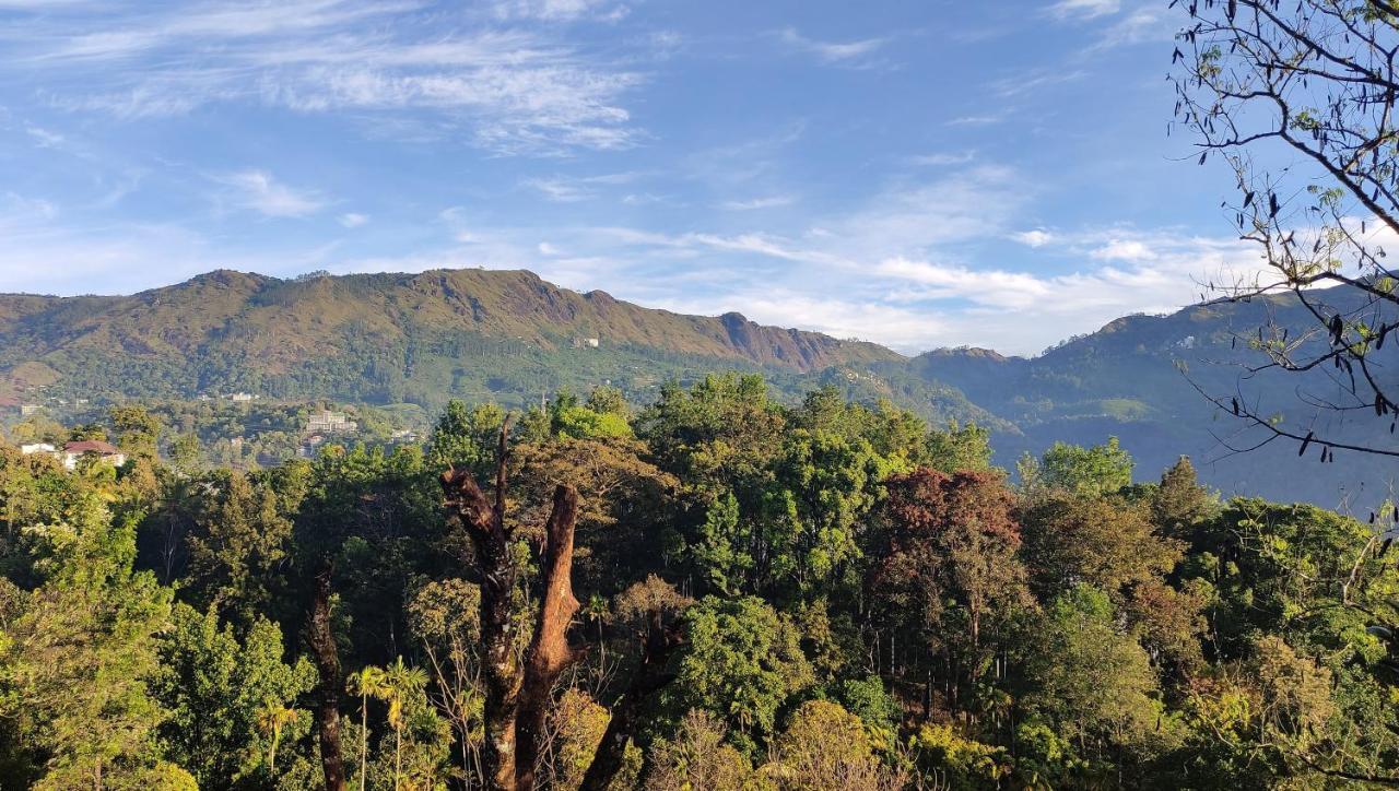 Green Tea View مونار المظهر الخارجي الصورة