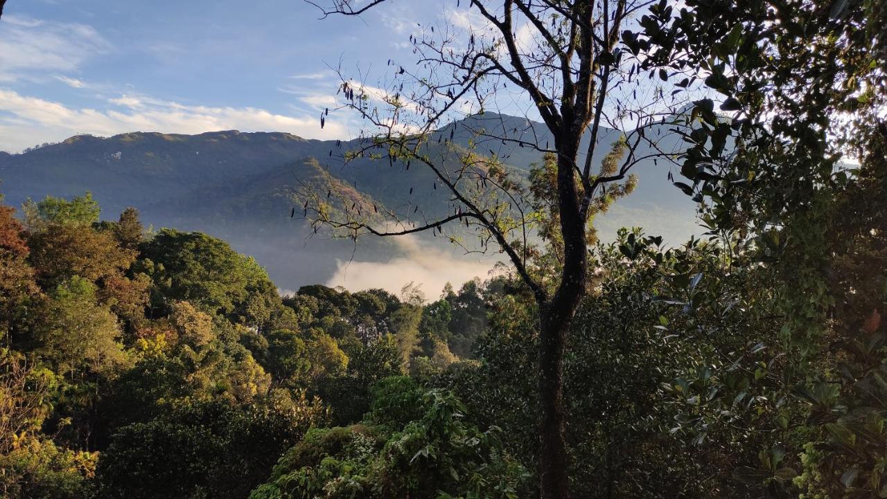 Green Tea View مونار المظهر الخارجي الصورة
